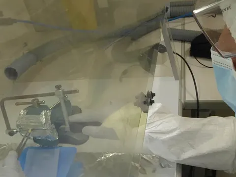 componente-genetico-argentina