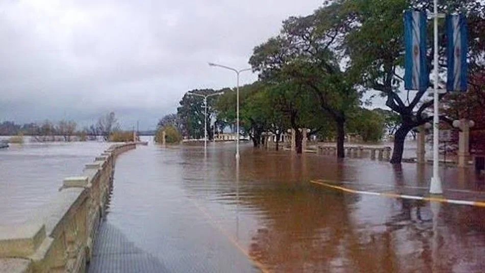captura-pantalla-2026-10-14-124831