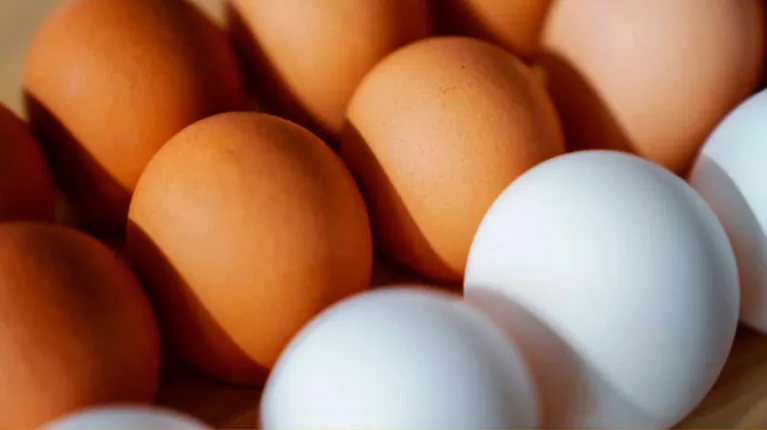 huevos-blancos-y-marrones-foto-instagram-Z4ZXGKKLPFCRVJZVQQ4P7F2LGQ